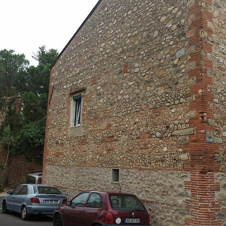 Maison Familiale Centenaire De Vigneron Montescot Εξωτερικό φωτογραφία